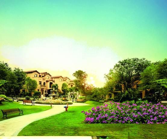 长沙碧桂园最新爆料,揭秘未来生态宜居新篇章  第1张